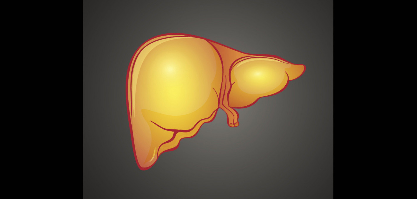Exercise Alters Body Fat Metabolism Of People With Fatty Liver Disease 