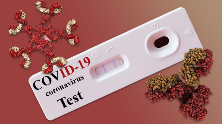 COVID-19 antibody test