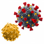 Sars-COV-2 and HIV