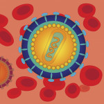 Schematic image of the human immunodeficiency virus