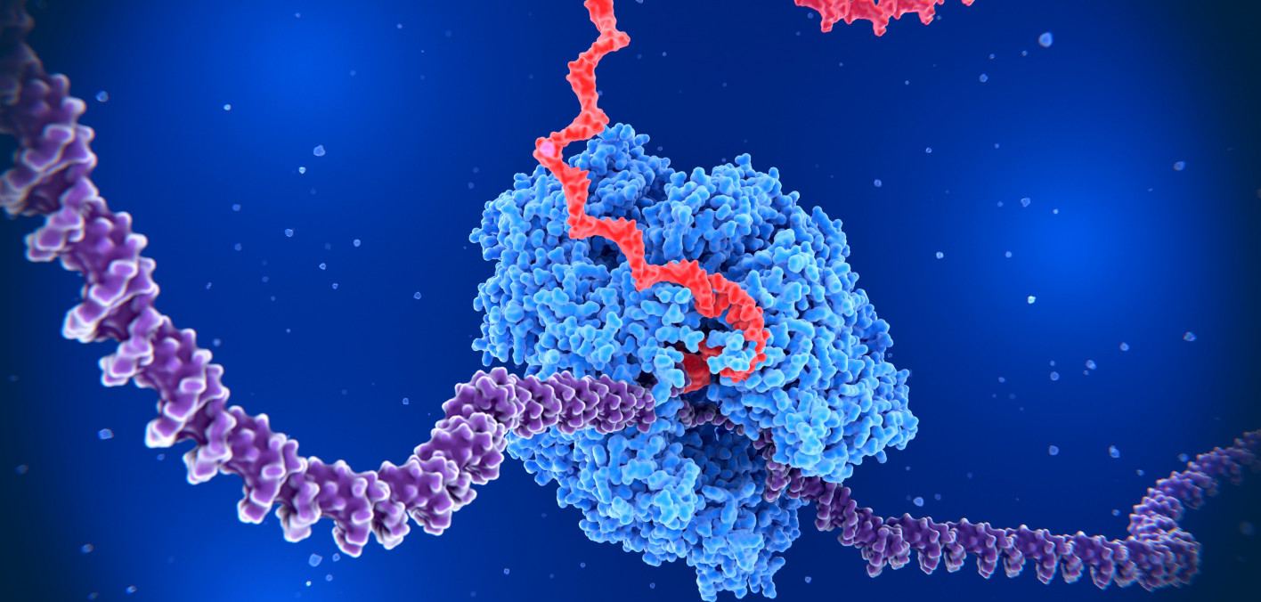 Under Trump, mRNA Skepticism Threatens a Promising Technology