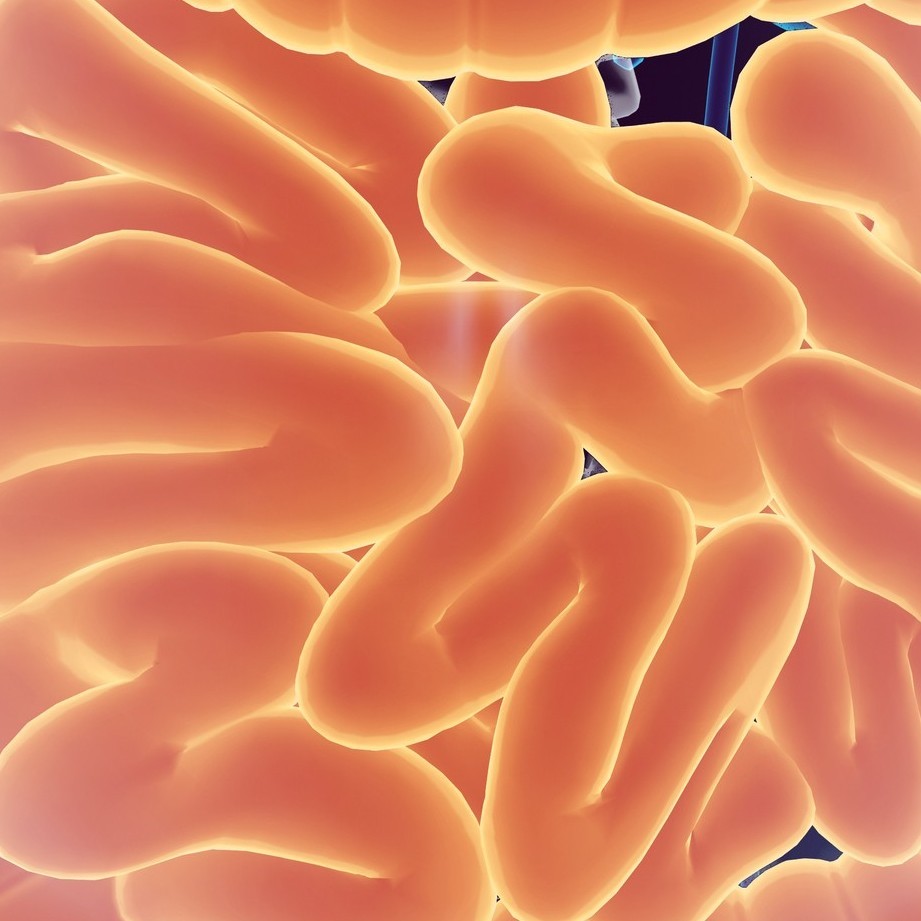 Cryptosporidiosis - POZ