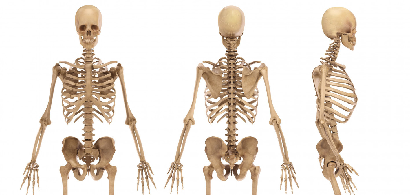 HIV and Your Bones POZ