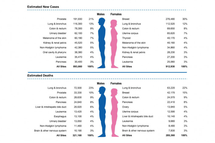 Cancer Deaths See Biggest Decline Ever Cancer Health