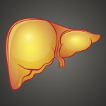 fatty liver